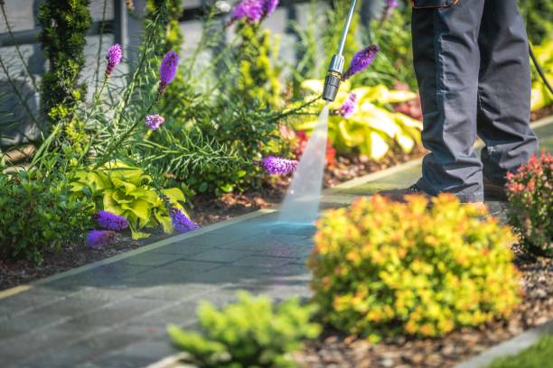 Best Sidewalk and Walkway Cleaning  in Vineyard, CA